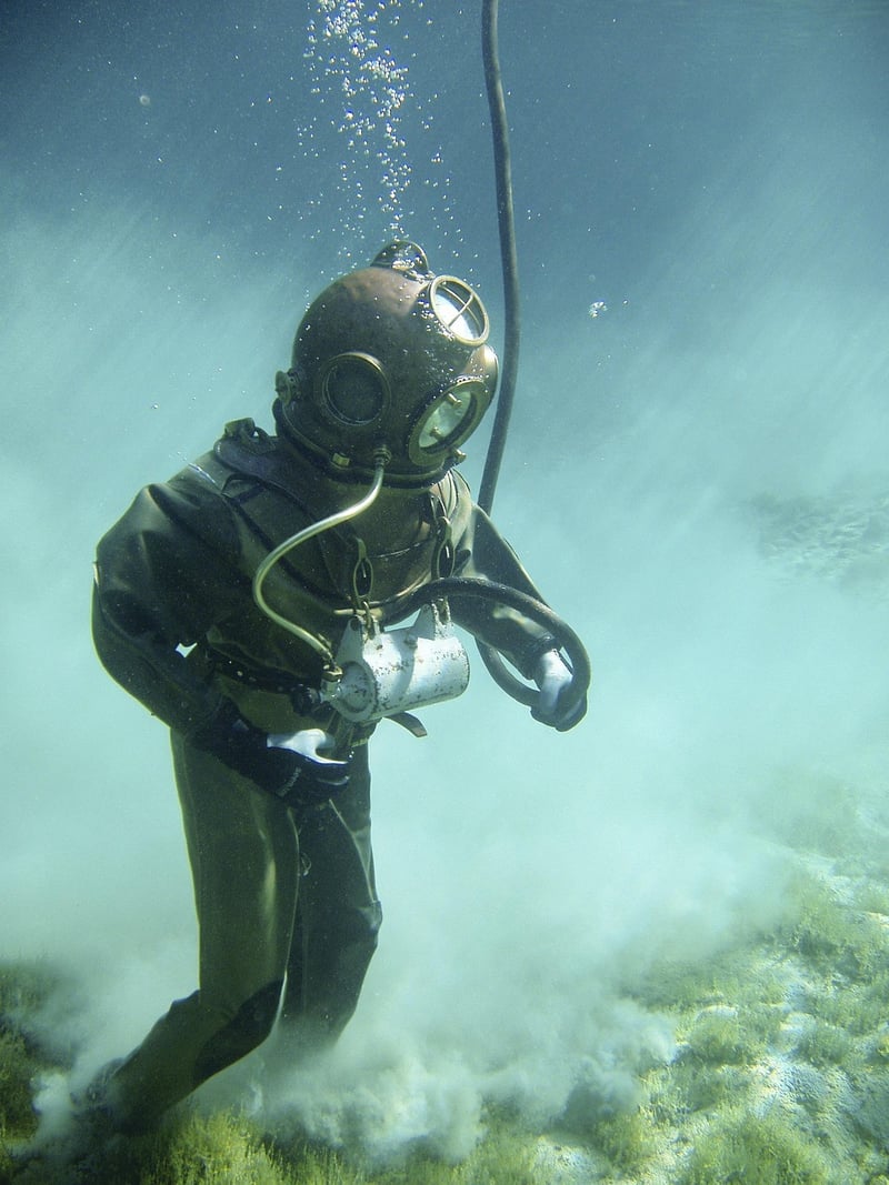 Diving with Great White Sharks
